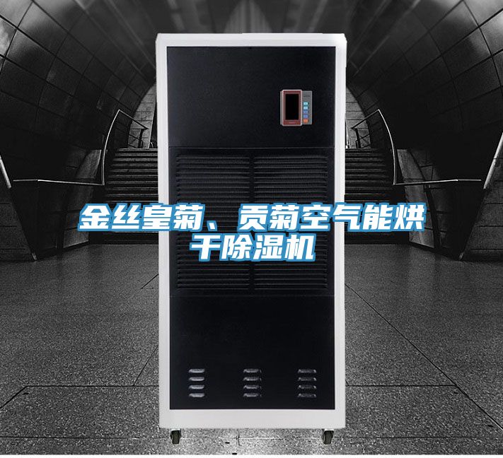 金絲皇菊、貢菊空氣能烘幹草莓小视频黄色