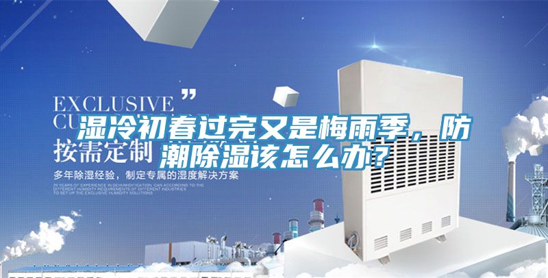 濕冷初春過完又是梅雨季，防潮除濕該怎麽辦？