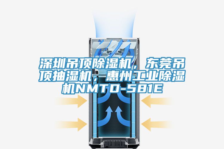 深圳吊頂草莓小视频黄色，東莞吊頂抽濕機，惠州工業草莓小视频黄色NMTD-581E