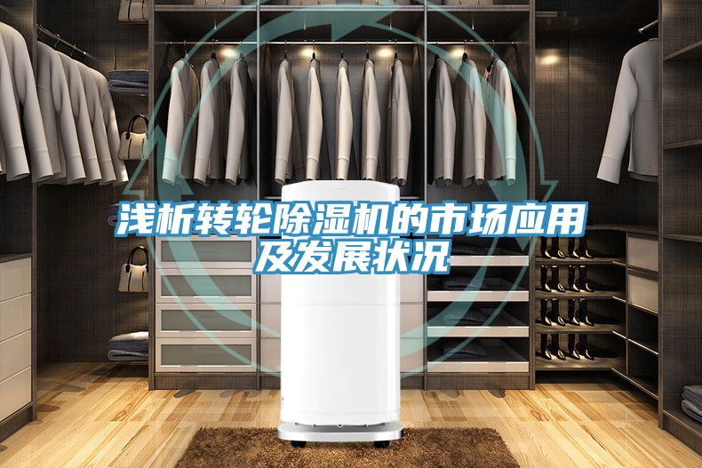 淺析轉輪草莓小视频黄色的市場應用及發展狀況