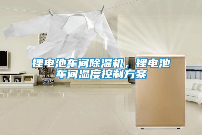 鋰電池車間草莓小视频黄色，鋰電池車間濕度控製方案