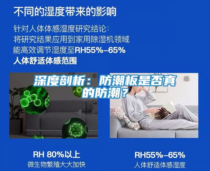 深度剖析：防潮板是否真的防潮？