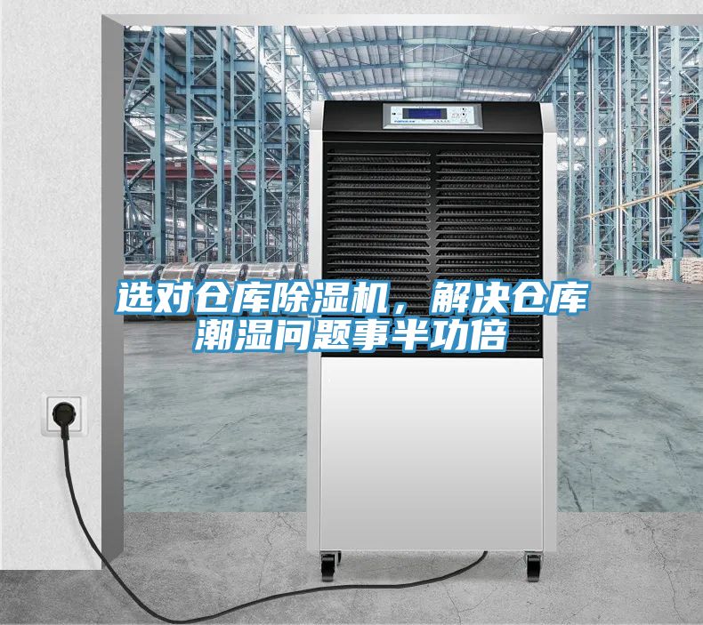 選對倉庫草莓小视频黄色，解決倉庫潮濕問題事半功倍