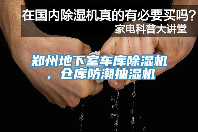 鄭州地下室車庫草莓小视频黄色，倉庫防潮抽濕機