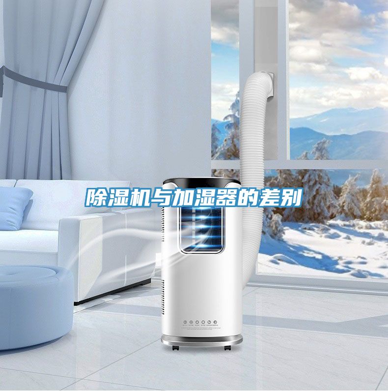 草莓小视频黄色與加濕器的差別