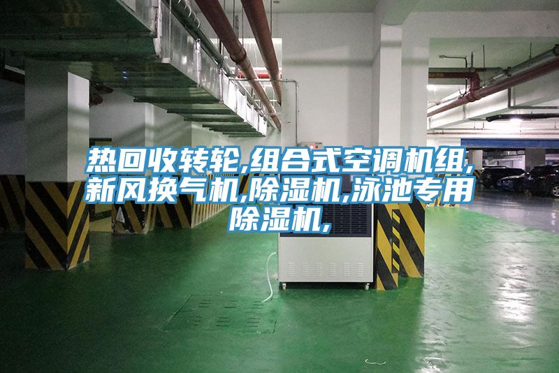 熱回收轉輪,組合式空調機組,新風換氣機,草莓小视频黄色,泳池專用草莓小视频黄色,