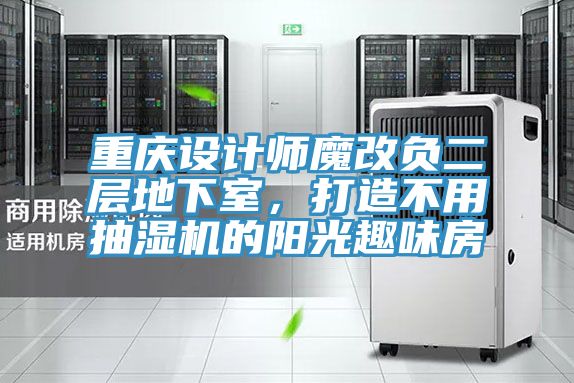重慶設計師魔改負二層地下室，打造不用抽濕機的陽光趣味房