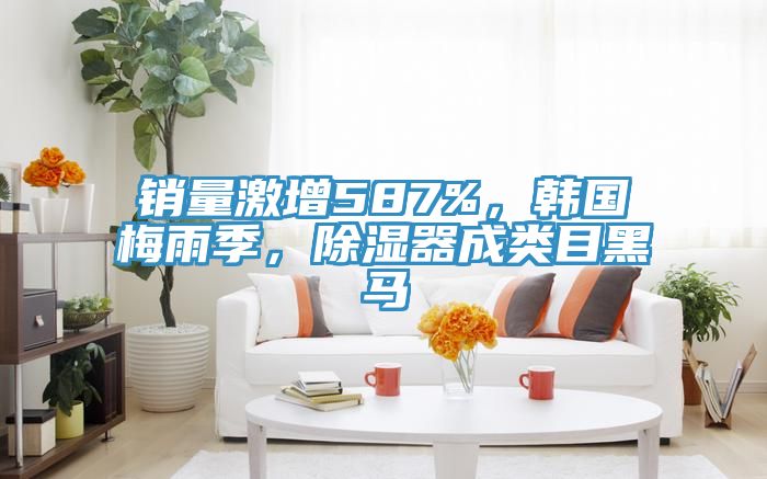 銷量激增587%，韓國梅雨季，除濕器成類目黑馬