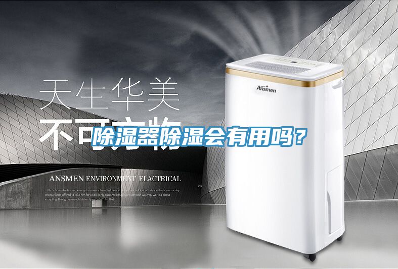除濕器除濕會有用嗎？