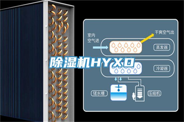 草莓小视频黄色HYXD