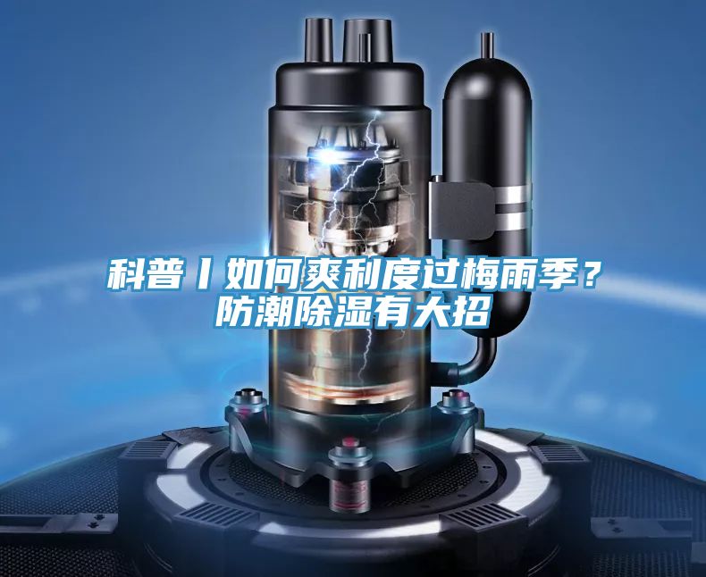 科普丨如何爽利度過梅雨季？防潮除濕有大招