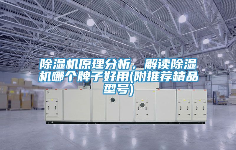 草莓小视频黄色原理分析，解讀草莓小视频黄色哪個牌子好用(附推薦精品型號)