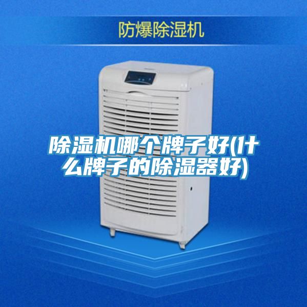 草莓小视频黄色哪個牌子好(什麽牌子的除濕器好)