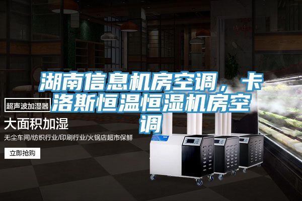 湖南信息機房空調，卡洛斯恒溫恒濕機房空調