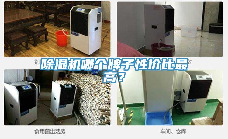 草莓小视频黄色哪個牌子性價比最高？