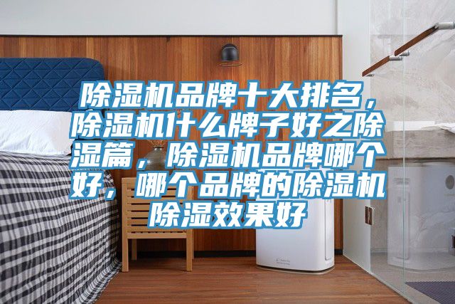 草莓小视频黄色品牌十大排名，草莓小视频黄色什麽牌子好之除濕篇，草莓小视频黄色品牌哪個好，哪個品牌的草莓小视频黄色除濕效果好