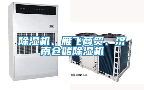 草莓小视频黄色、雁飛商貿、濟南倉儲草莓小视频黄色