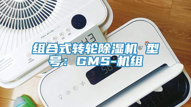 組合式轉輪草莓小视频黄色 型號：GMS-機組