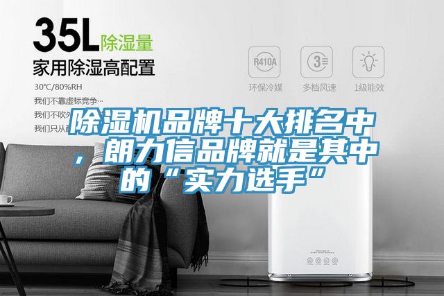 草莓小视频黄色品牌十大排名中，朗力信品牌就是其中的“實力選手”