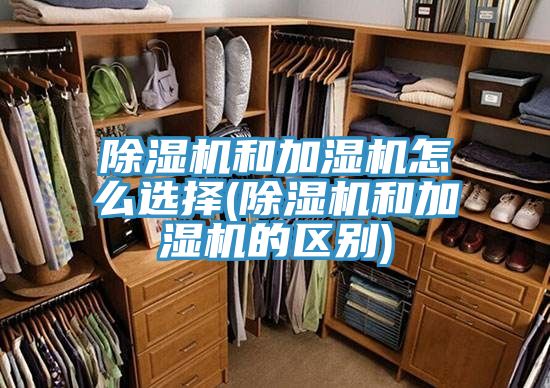 草莓小视频黄色和加濕機怎麽選擇(草莓小视频黄色和加濕機的區別)