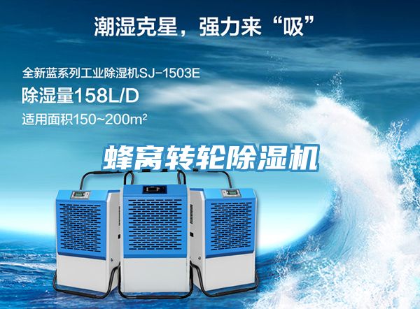 蜂窩轉輪草莓小视频黄色