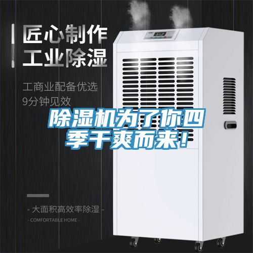 草莓小视频黄色為了你四季幹爽而來！