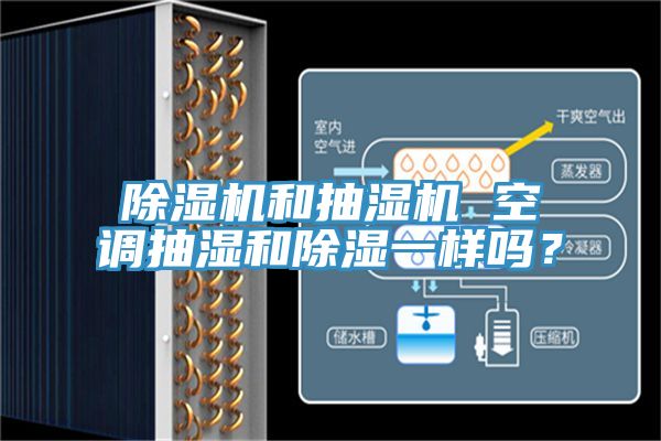 草莓小视频黄色和抽濕機 空調抽濕和除濕一樣嗎？