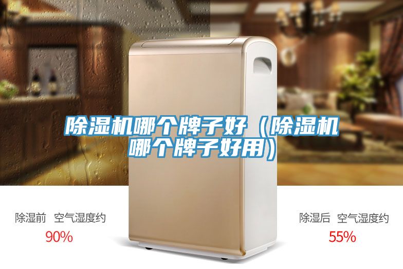 草莓小视频黄色哪個牌子好（草莓小视频黄色哪個牌子好用）