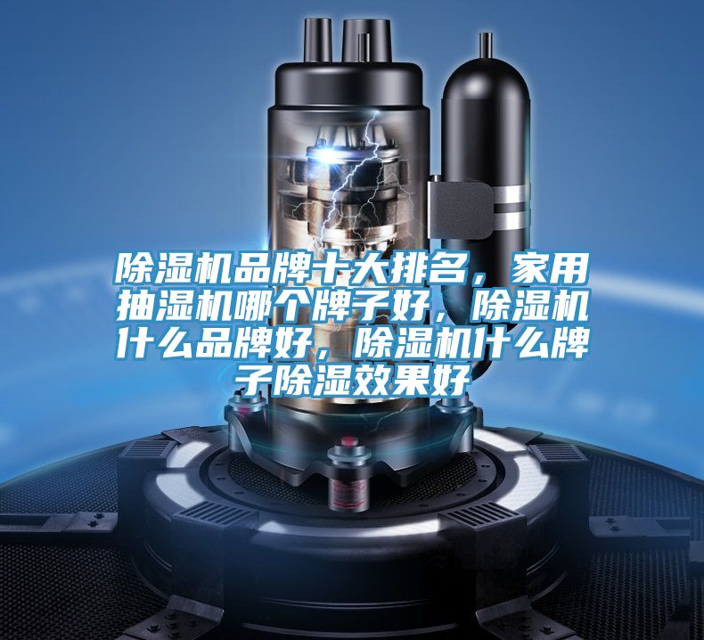 草莓小视频黄色品牌十大排名，家用抽濕機哪個牌子好，草莓小视频黄色什麽品牌好，草莓小视频黄色什麽牌子除濕效果好