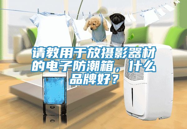 請教用於放攝影器材的電子防潮箱，什麽品牌好？