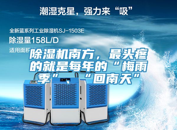 草莓小视频黄色南方，最頭疼的就是每年的“梅雨季”、“回南天”