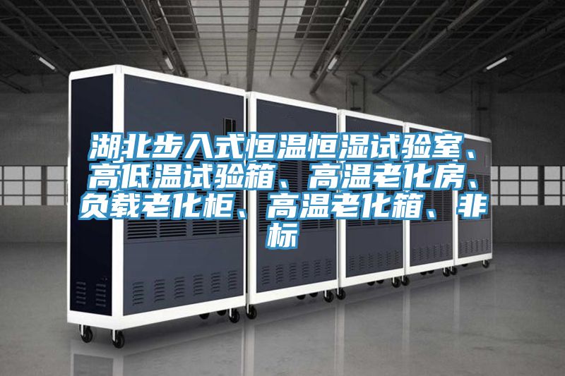 湖北步入式恒溫恒濕試驗室、高低溫試驗箱、高溫老化房、負載老化櫃、高溫老化箱、非標