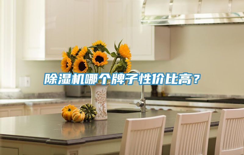 草莓小视频黄色哪個牌子性價比高？