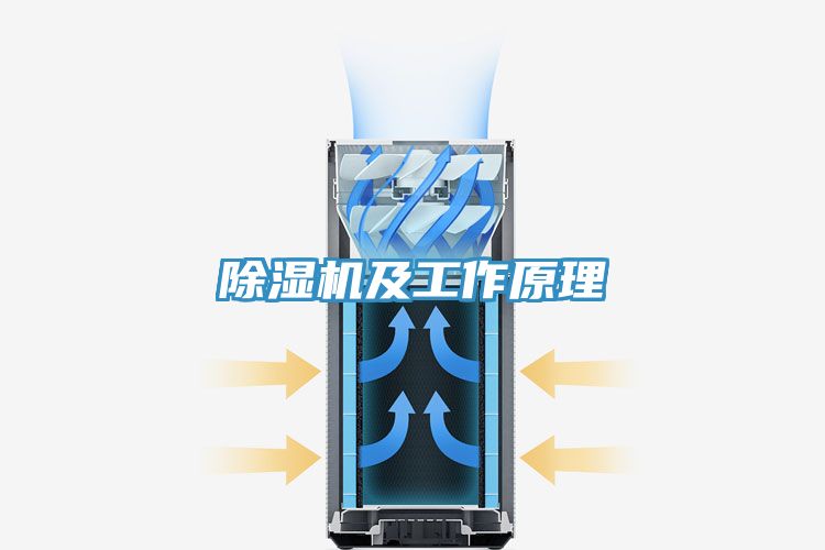 草莓小视频黄色及工作原理