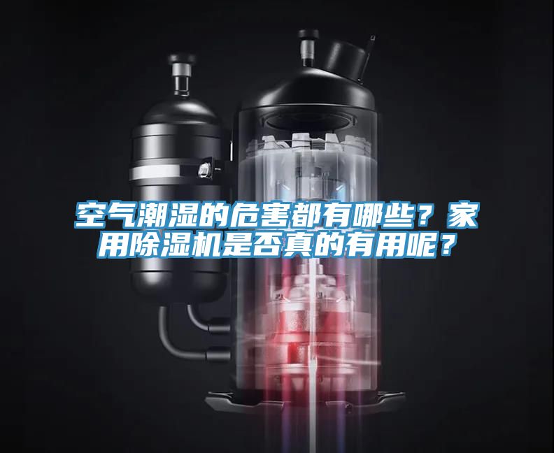 空氣潮濕的危害都有哪些？家用草莓小视频黄色是否真的有用呢？