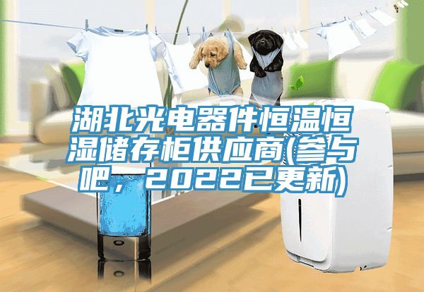 湖北光電器件恒溫恒濕儲存櫃供應商(參與吧，2022已更新)