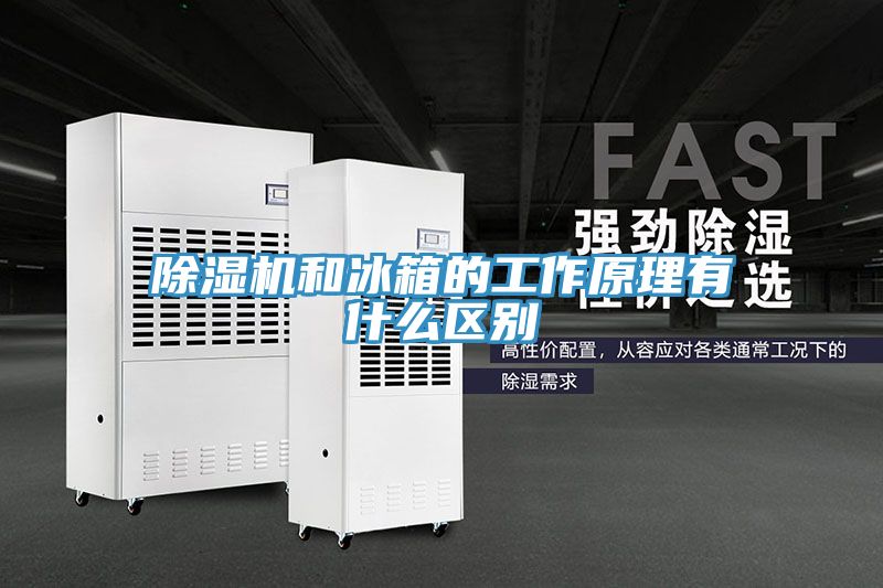 草莓小视频黄色和冰箱的工作原理有什麽區別