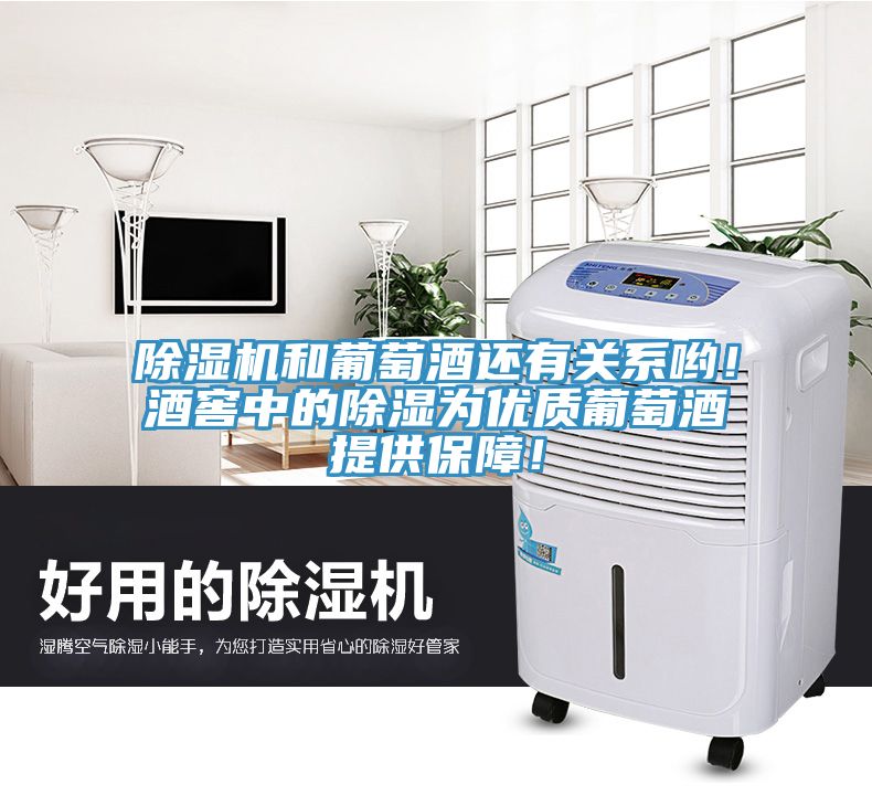 草莓小视频黄色和葡萄酒還有關係喲！酒窖中的除濕為優質葡萄酒提供保障！