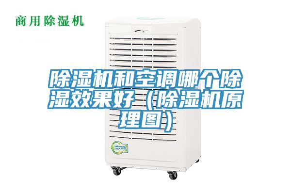 草莓小视频黄色和空調哪個除濕效果好(草莓小视频黄色原理圖)