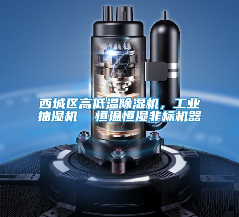 西城區高低溫草莓小视频黄色，工業抽濕機  恒溫恒濕非標機器