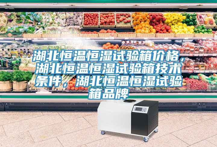 湖北恒溫恒濕試驗箱價格，湖北恒溫恒濕試驗箱技術條件，湖北恒溫恒濕試驗箱品牌