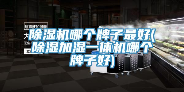 草莓小视频黄色哪個牌子最好(除濕加濕一體機哪個牌子好)