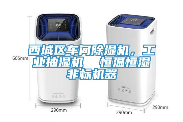 西城區車間草莓小视频黄色，工業抽濕機  恒溫恒濕非標機器