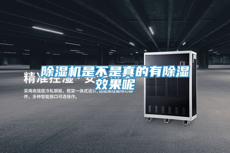 草莓小视频黄色是不是真的有除濕效果呢