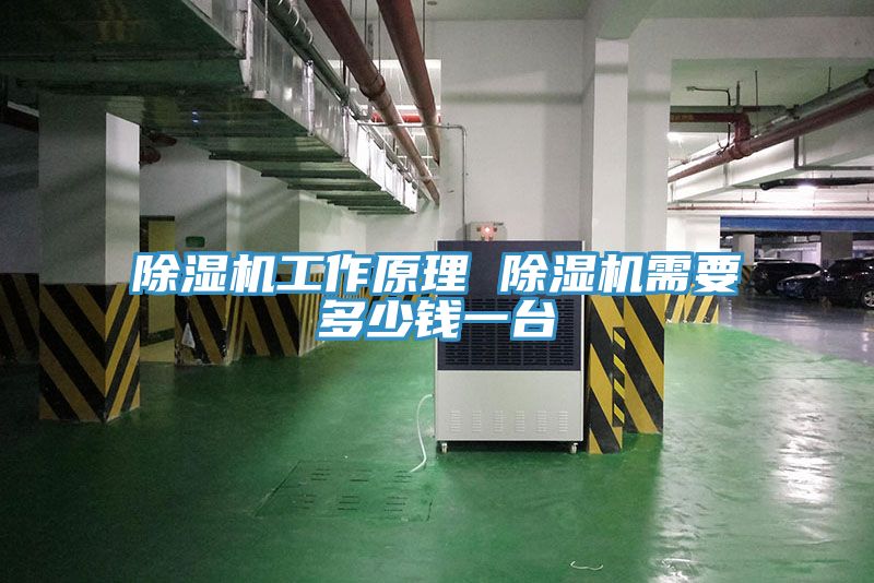 草莓小视频黄色工作原理 草莓小视频黄色需要多少錢一台