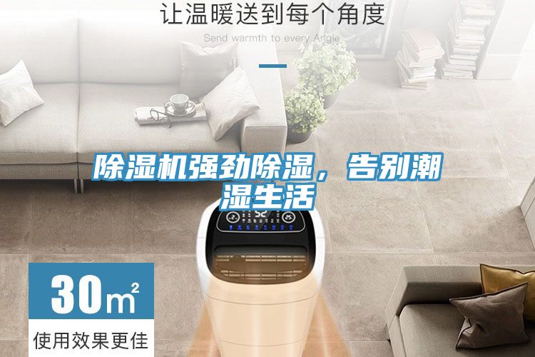 草莓小视频黄色強勁除濕，告別潮濕生活