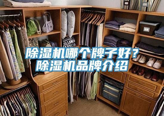 草莓小视频黄色哪個牌子好？草莓小视频黄色品牌介紹