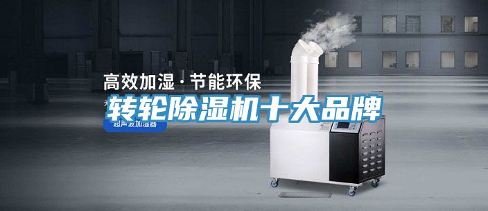 轉輪草莓小视频黄色十大品牌