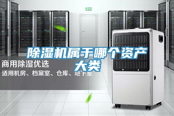 草莓小视频黄色屬於哪個資產大類