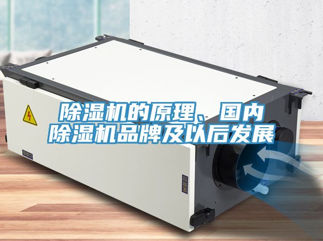 草莓小视频黄色的原理、國內草莓小视频黄色品牌及以後發展